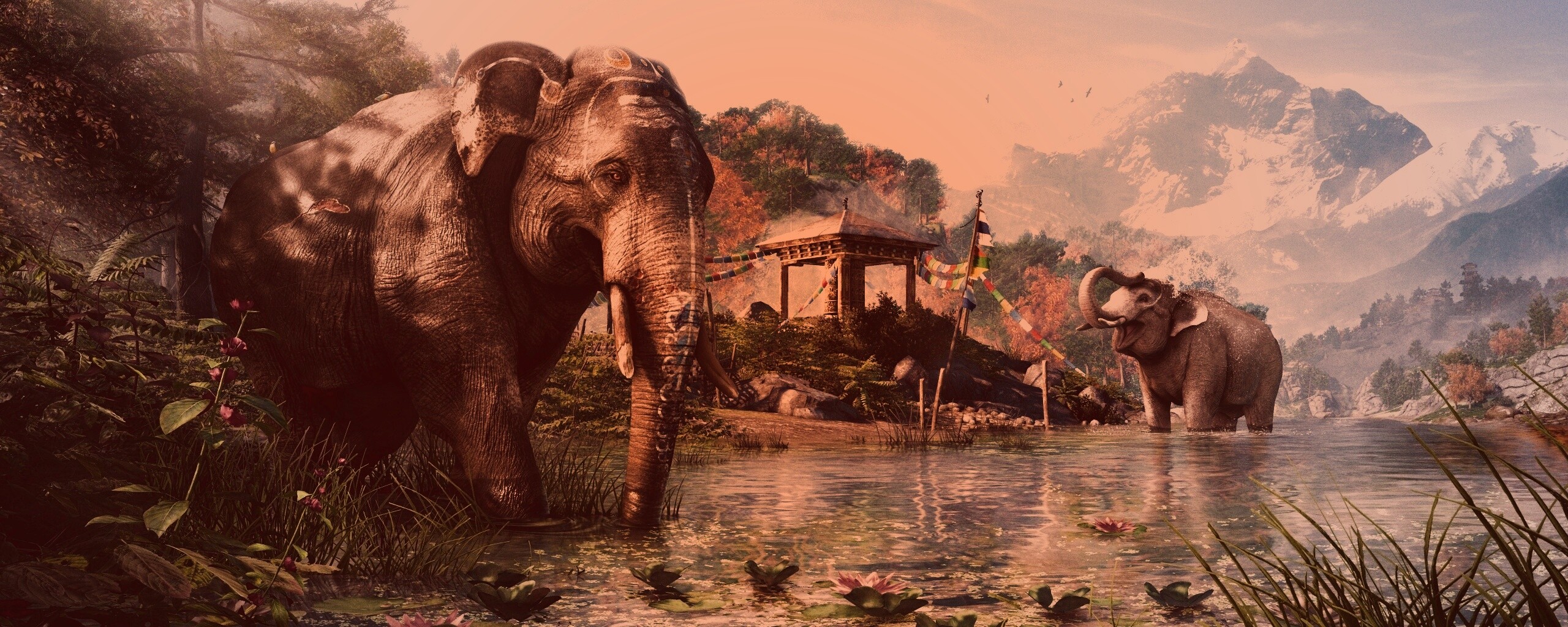 Слоники у воды обои