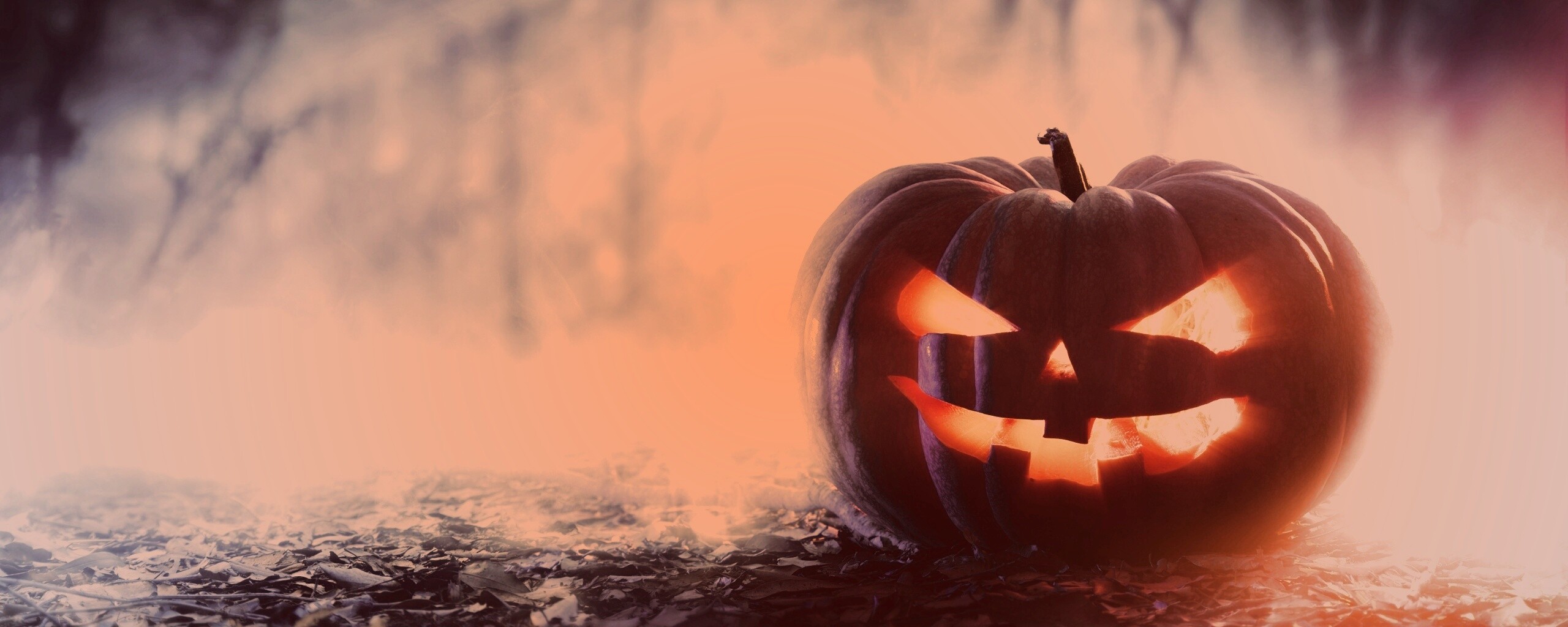 Хэллоуинская тыква обои