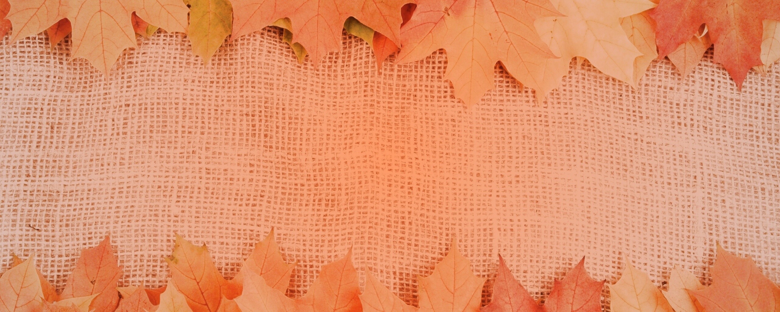 Желтые кленовые листья на холсте обои