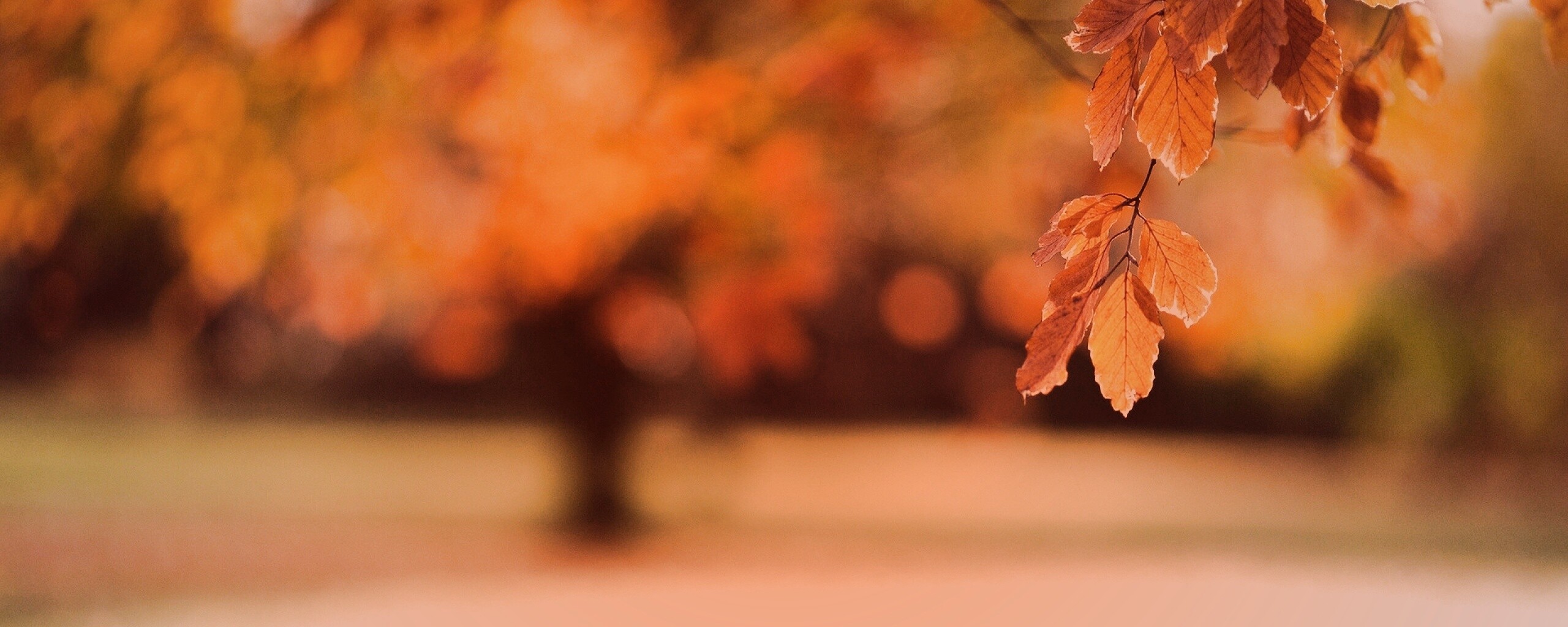 Осенний парк обои