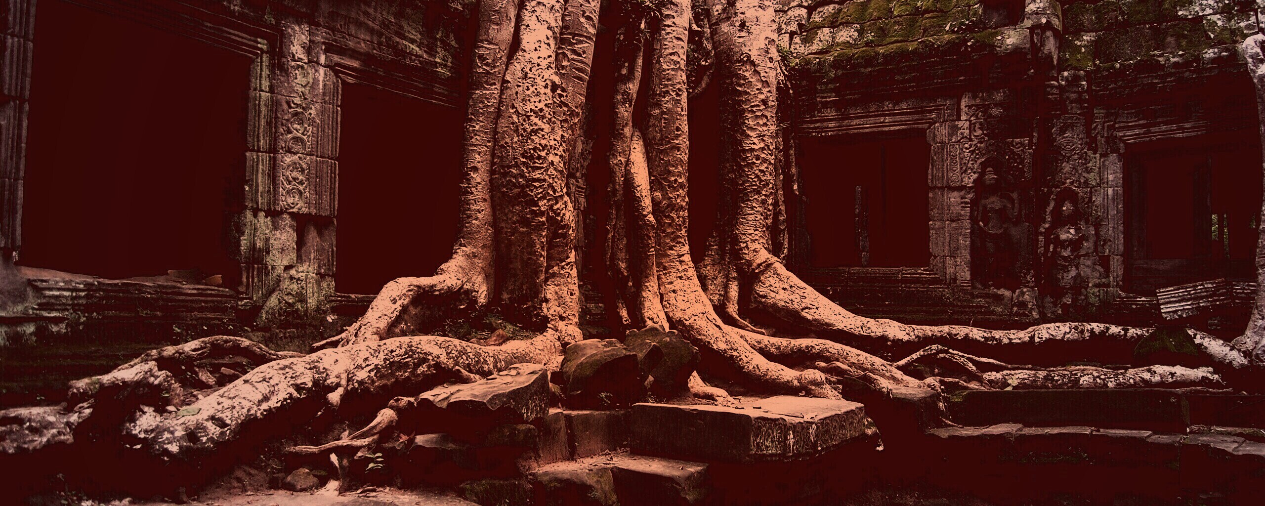 Мощные корни обои