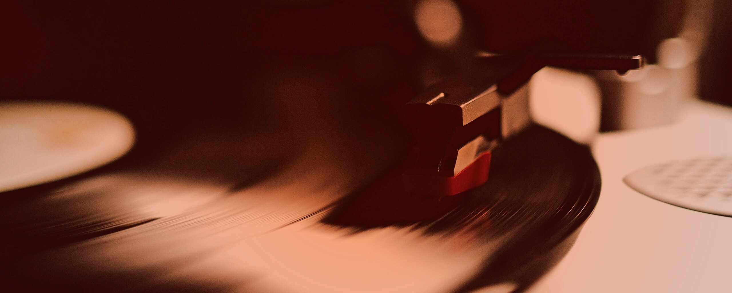 Пластинка обои