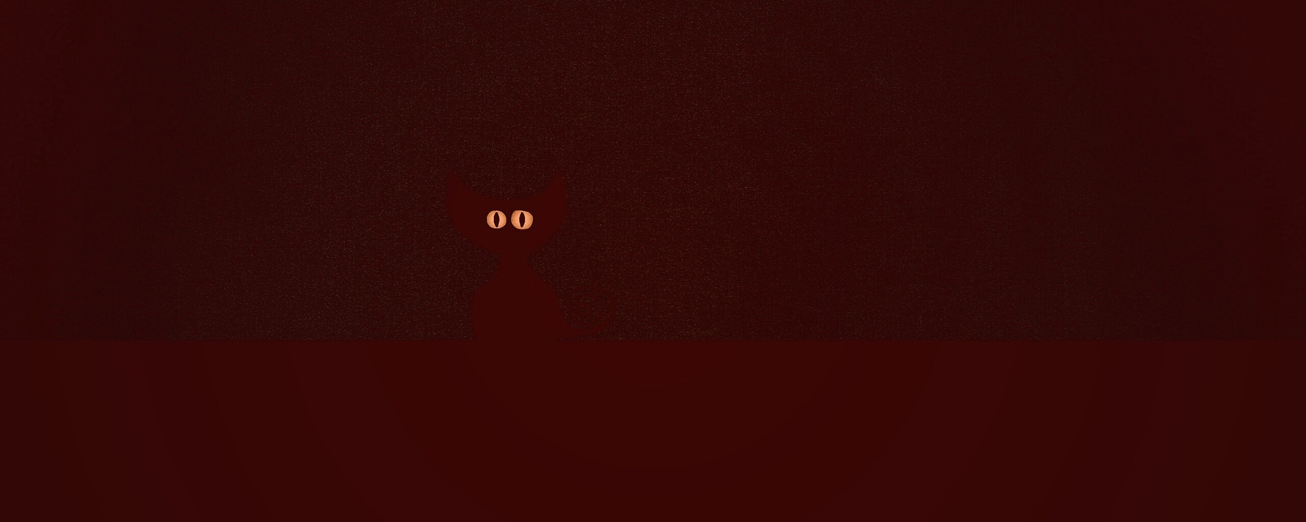 Чёрный кот в ночи обои