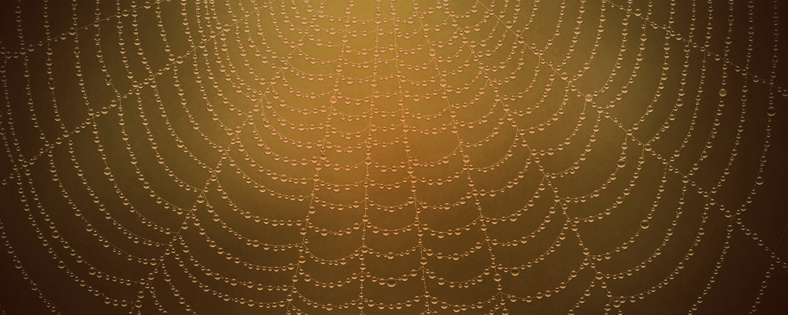Роса на паутине обои