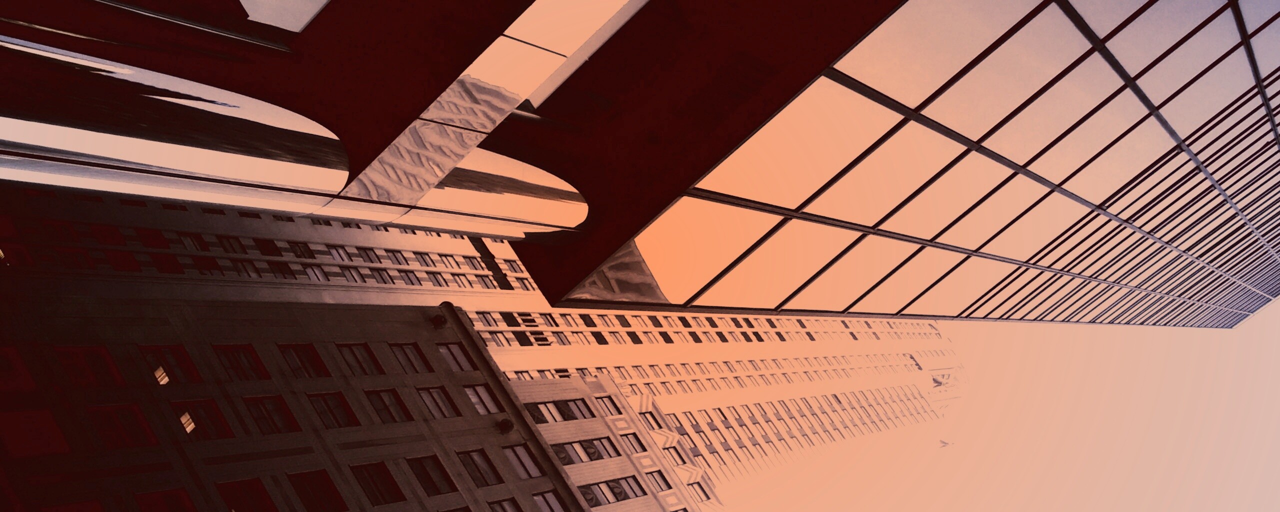 Взгляд вверх обои