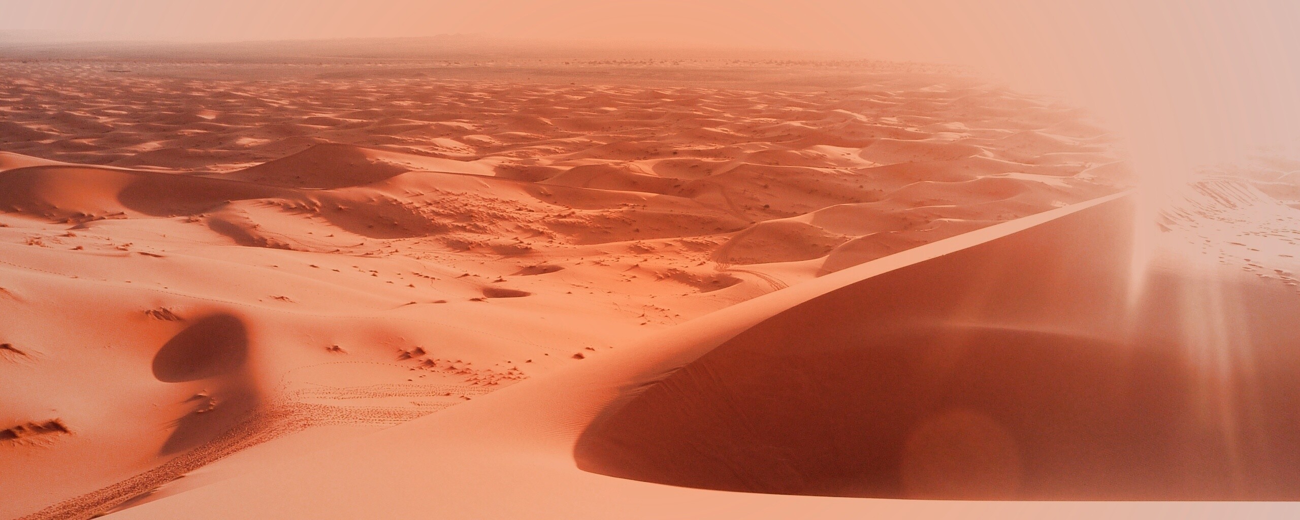 Солнечная пустыня обои