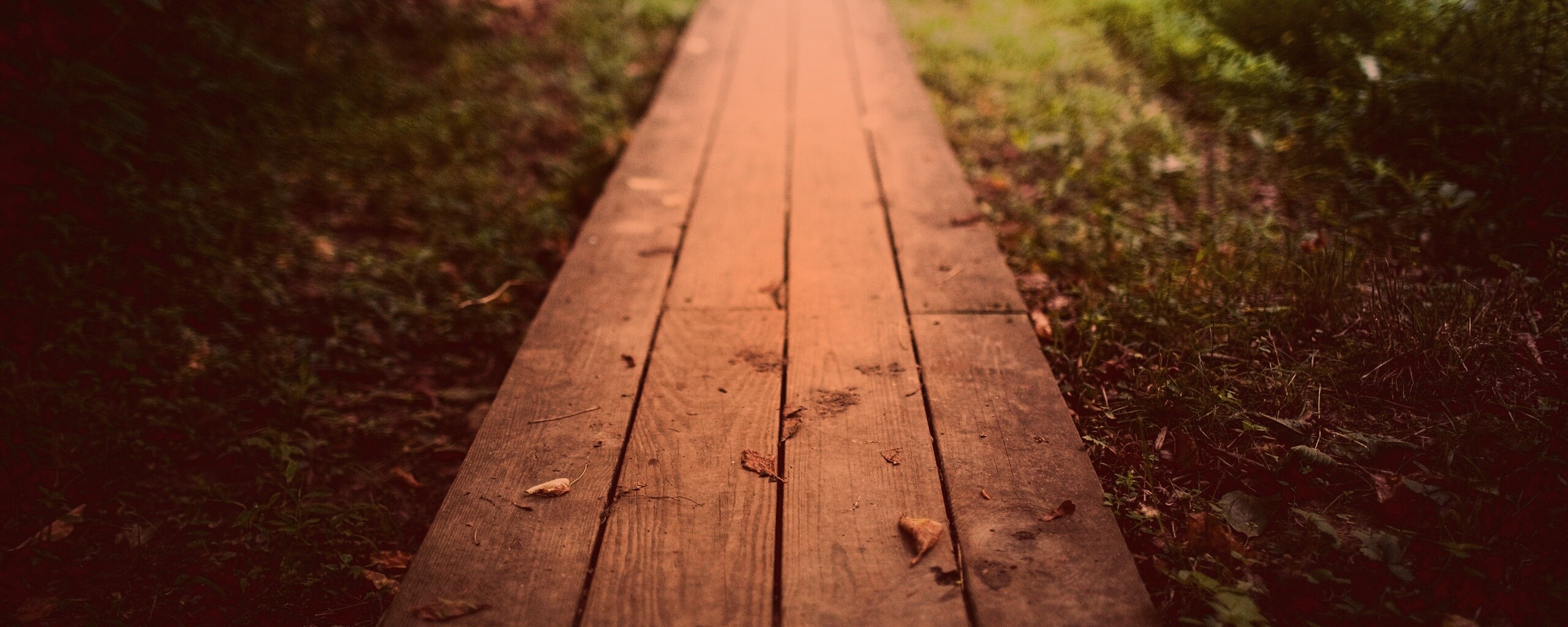 Деревянная тропинка обои