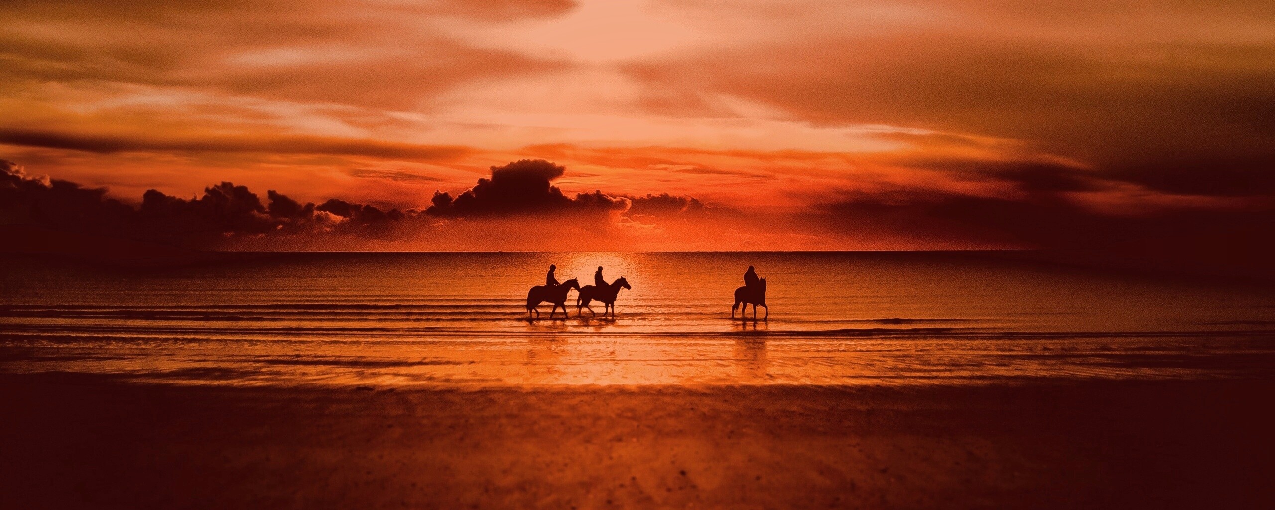 Наездники на закате обои
