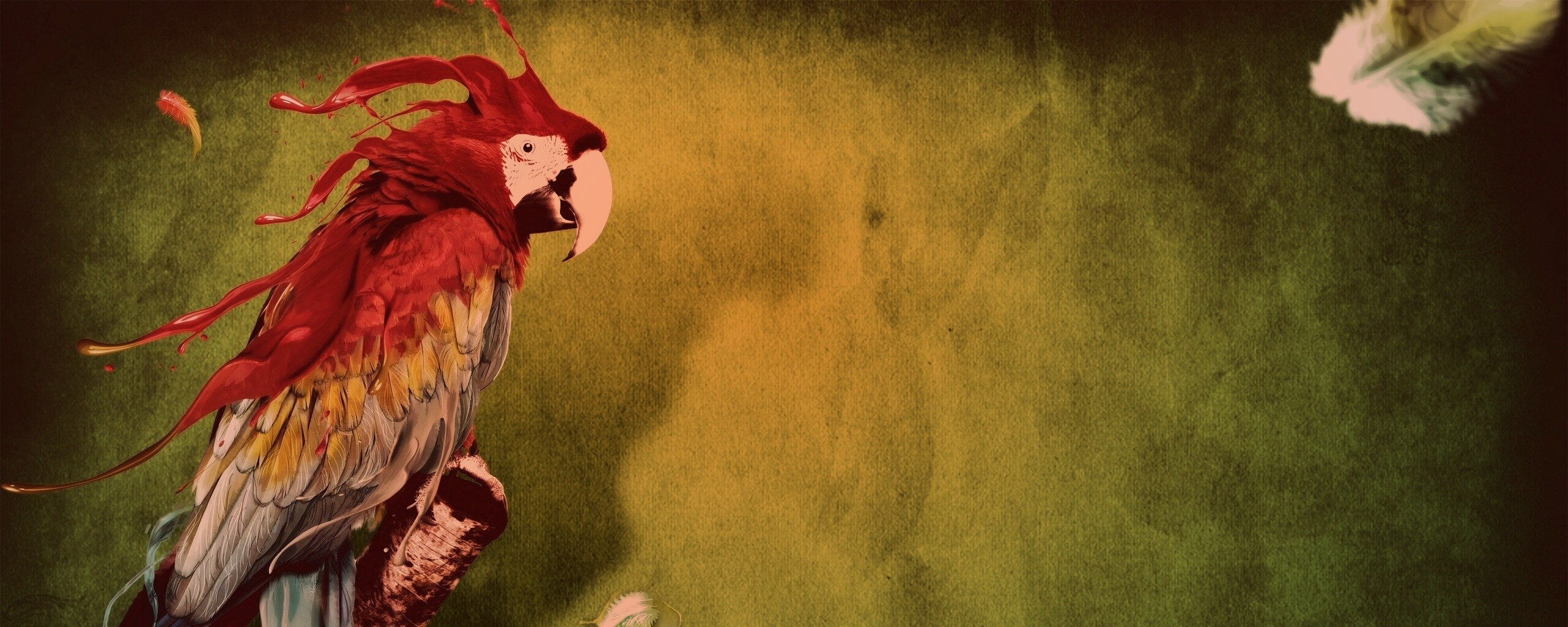 Попугай на ветке обои