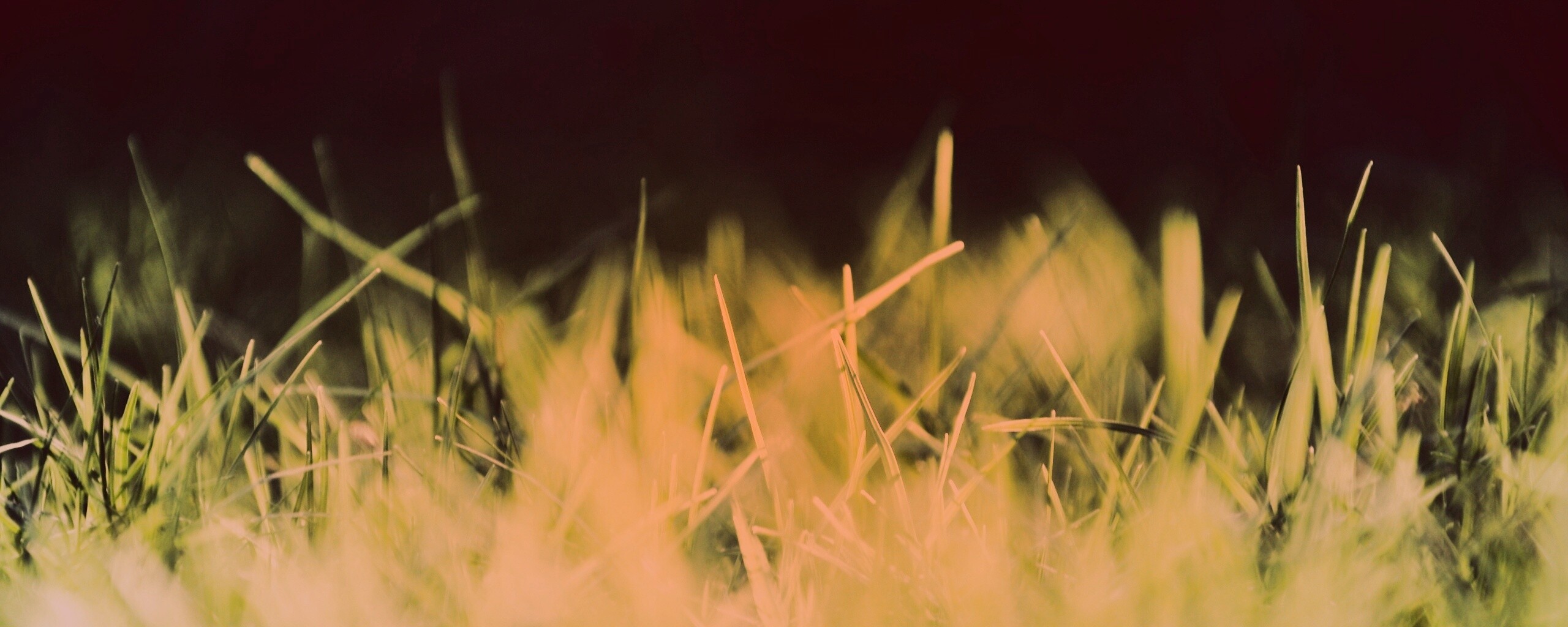 Играя солнечным светом обои