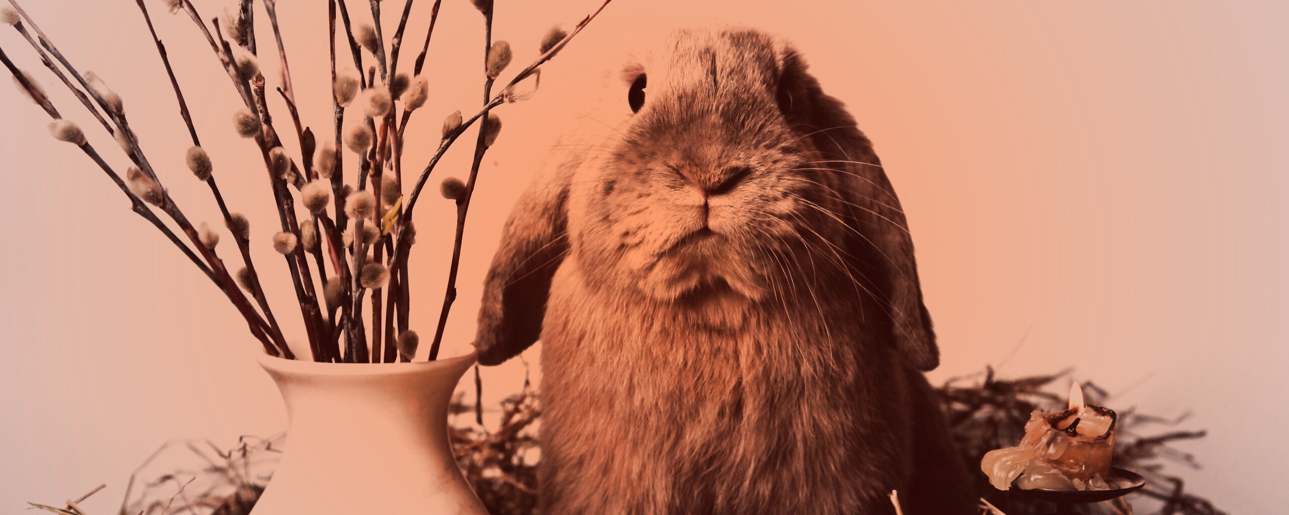 Пасхальный кролик обои