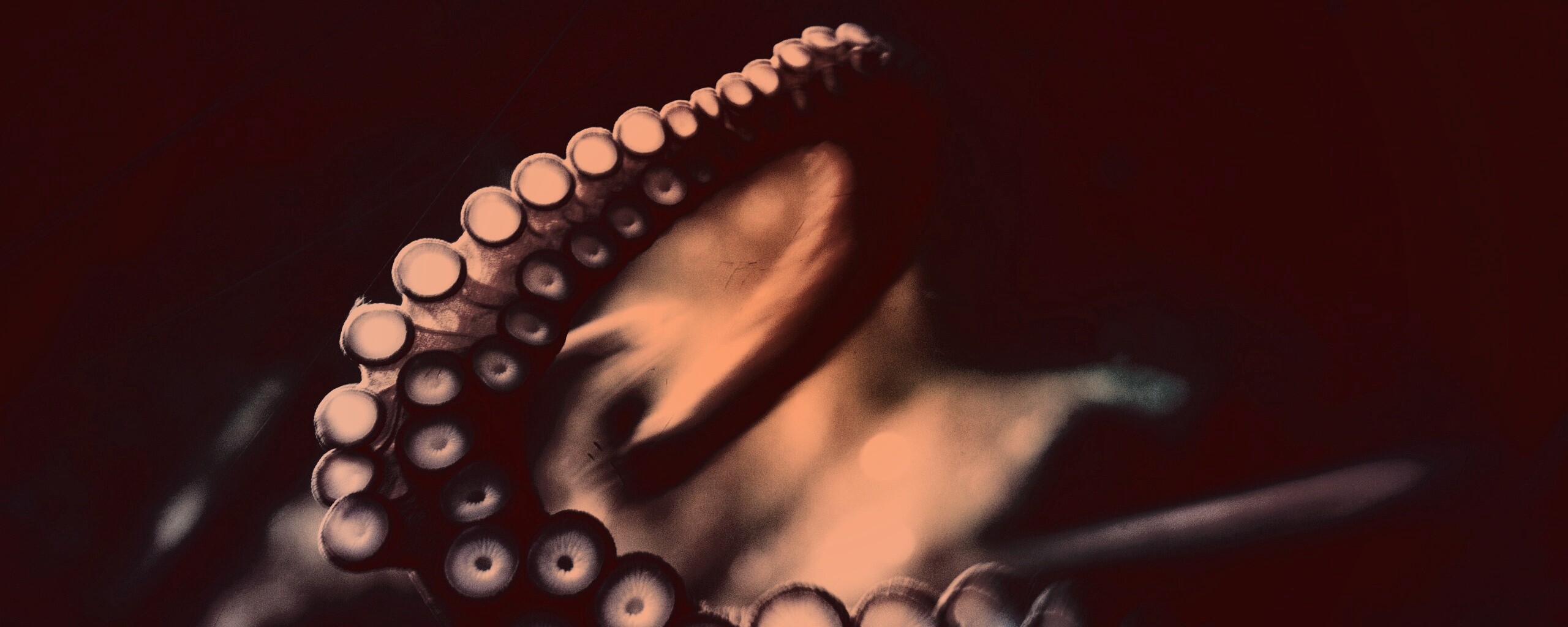 Щупальце обои