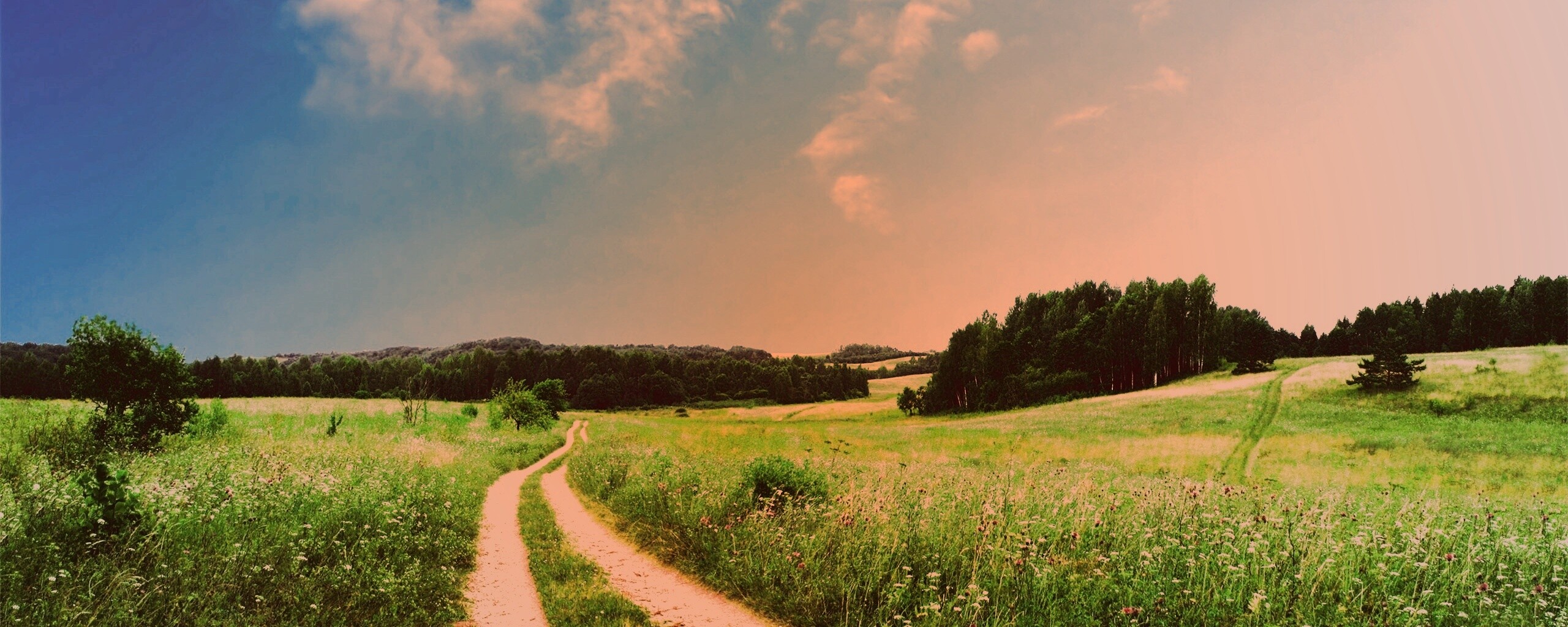 Дорога через луг обои