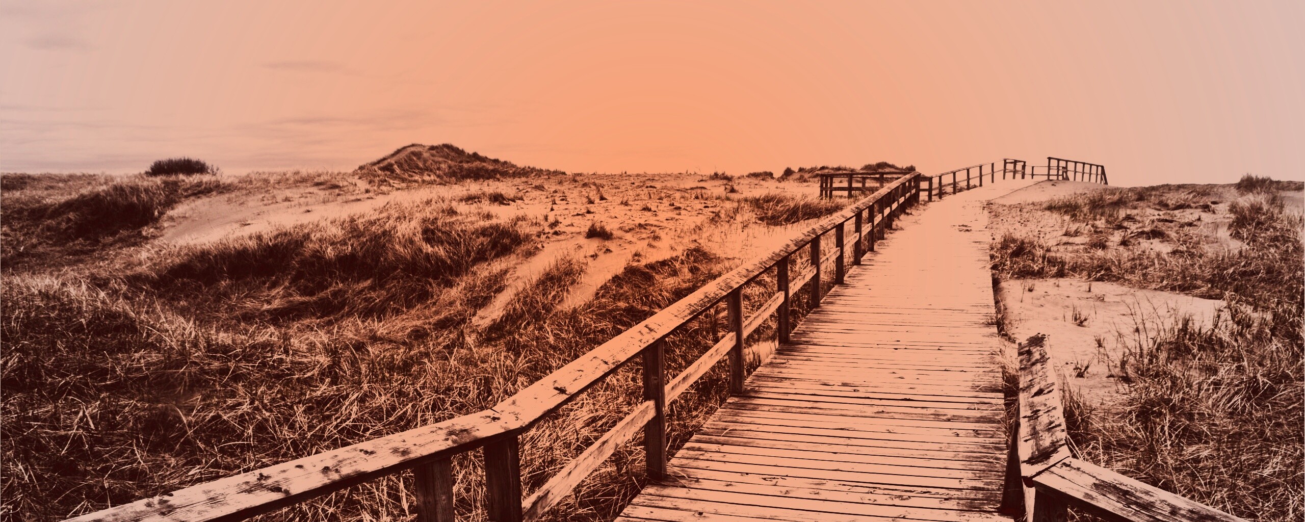 Деревянная дорога обои