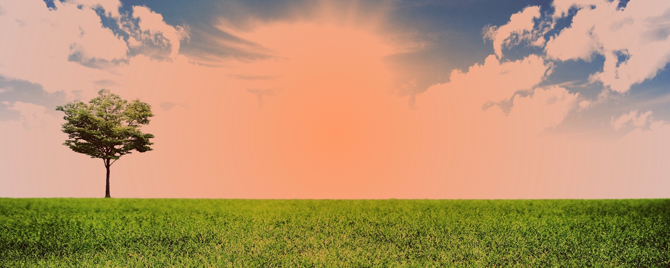 Один в целом мире обои