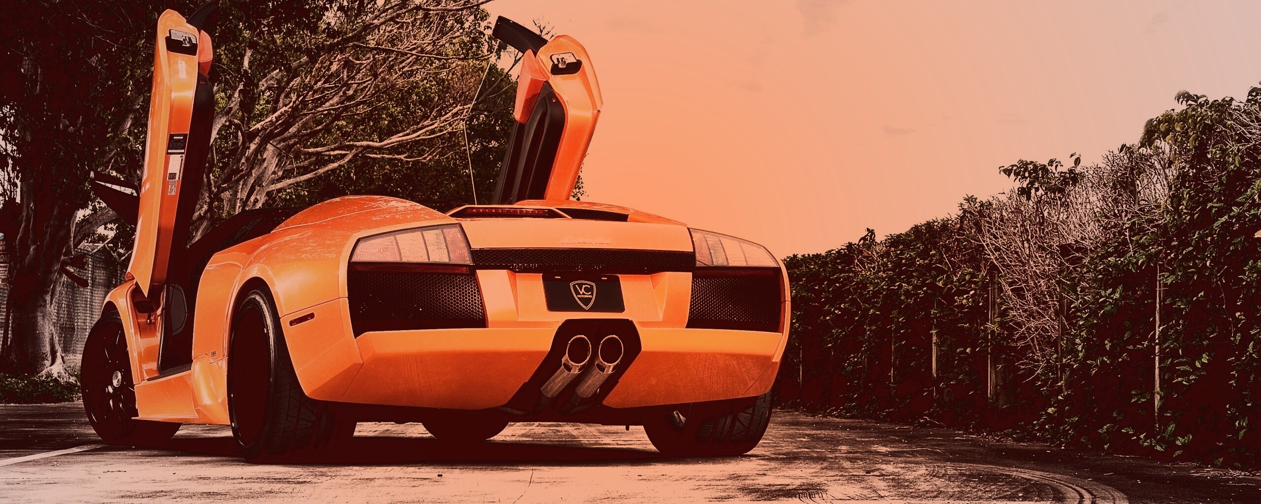 Оранжевая Мюрселаго обои