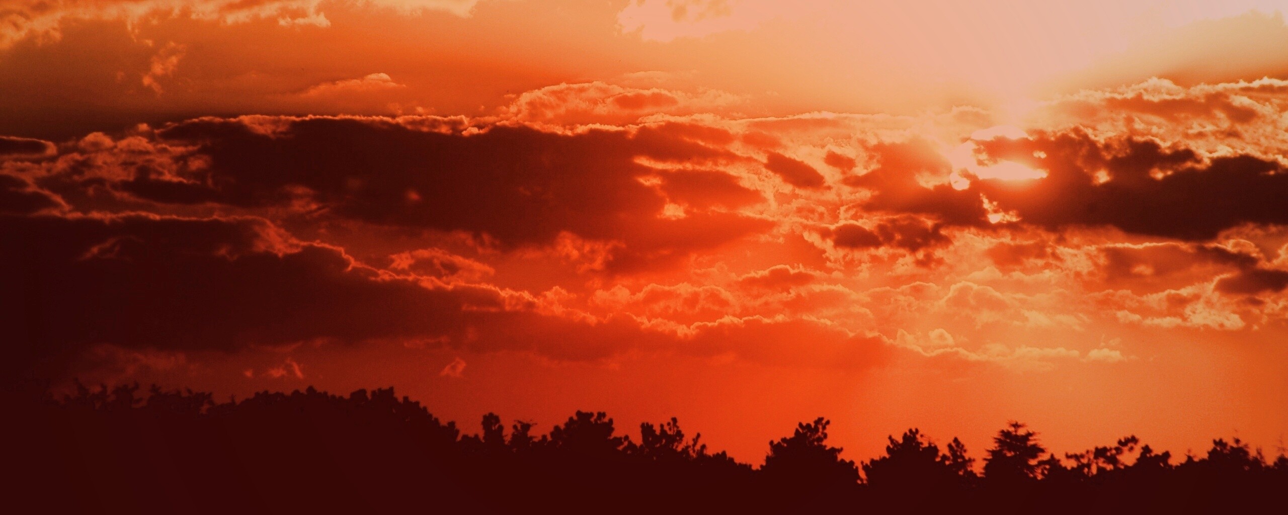 Ярко-оранжевое закатное небо обои