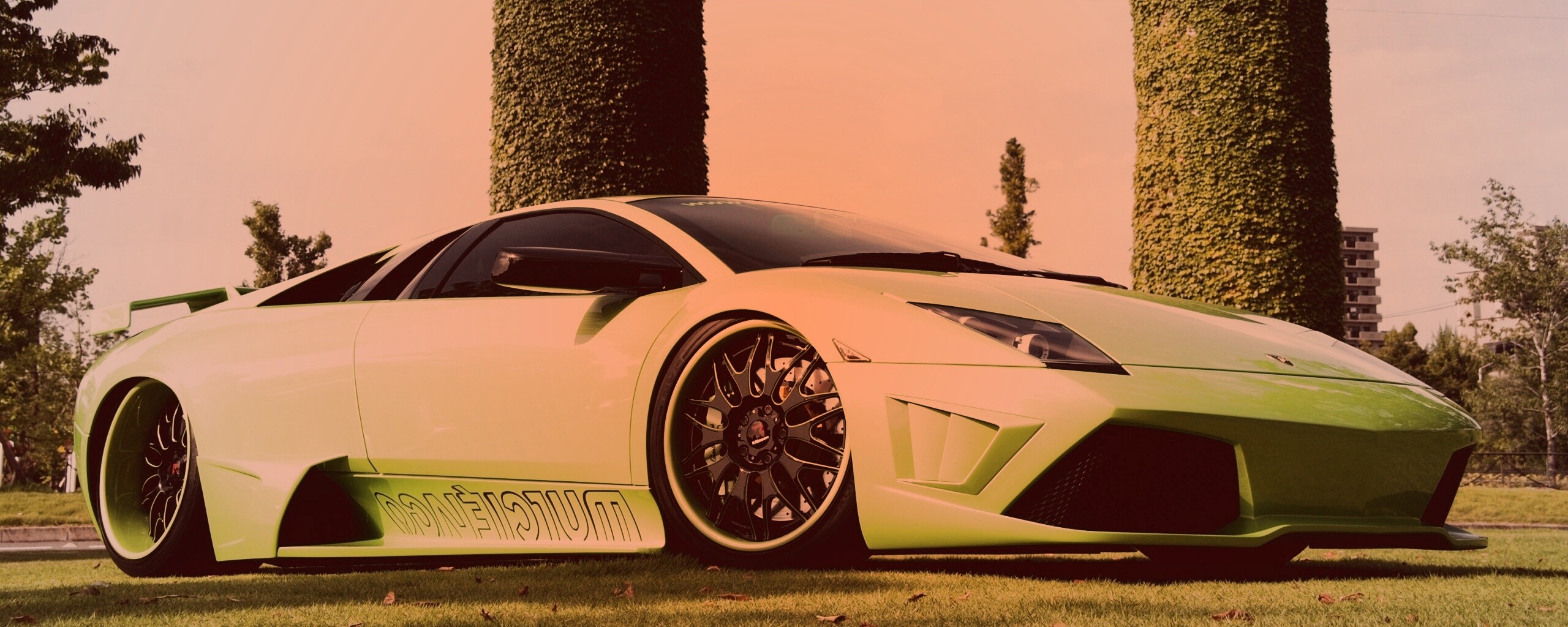 Зелёный Ламборджини на траве обои