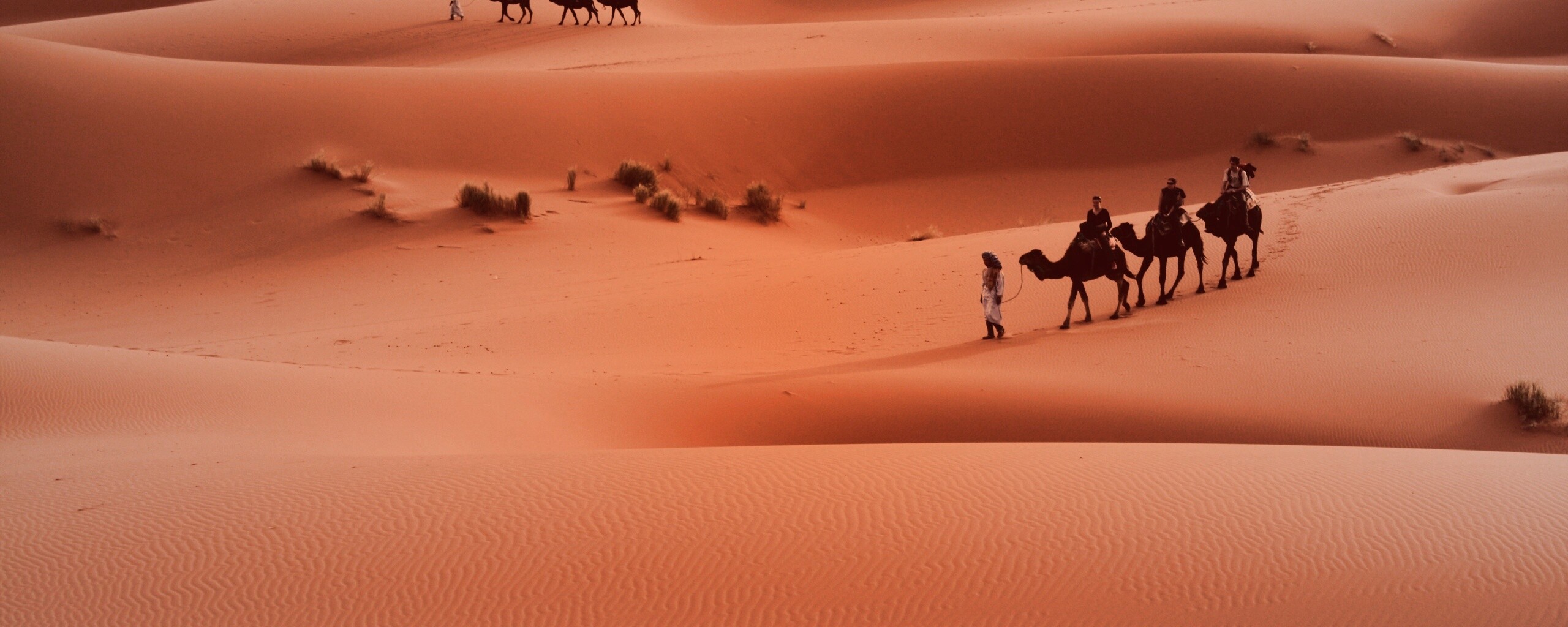 Караваны пустыни обои