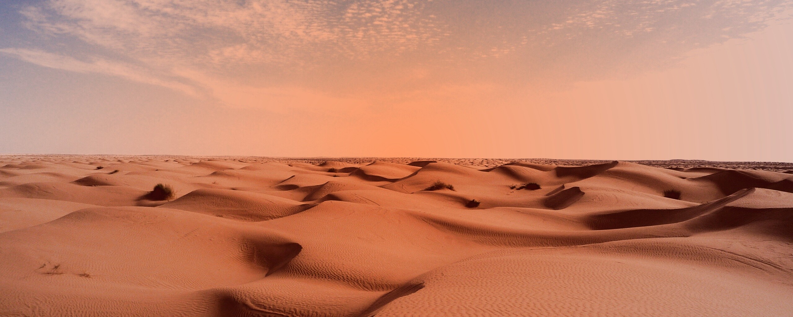 Пустыня до самого горизонта обои