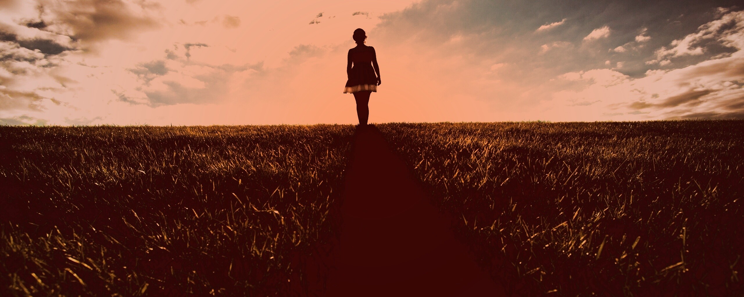 Силуэт девочки на поле обои