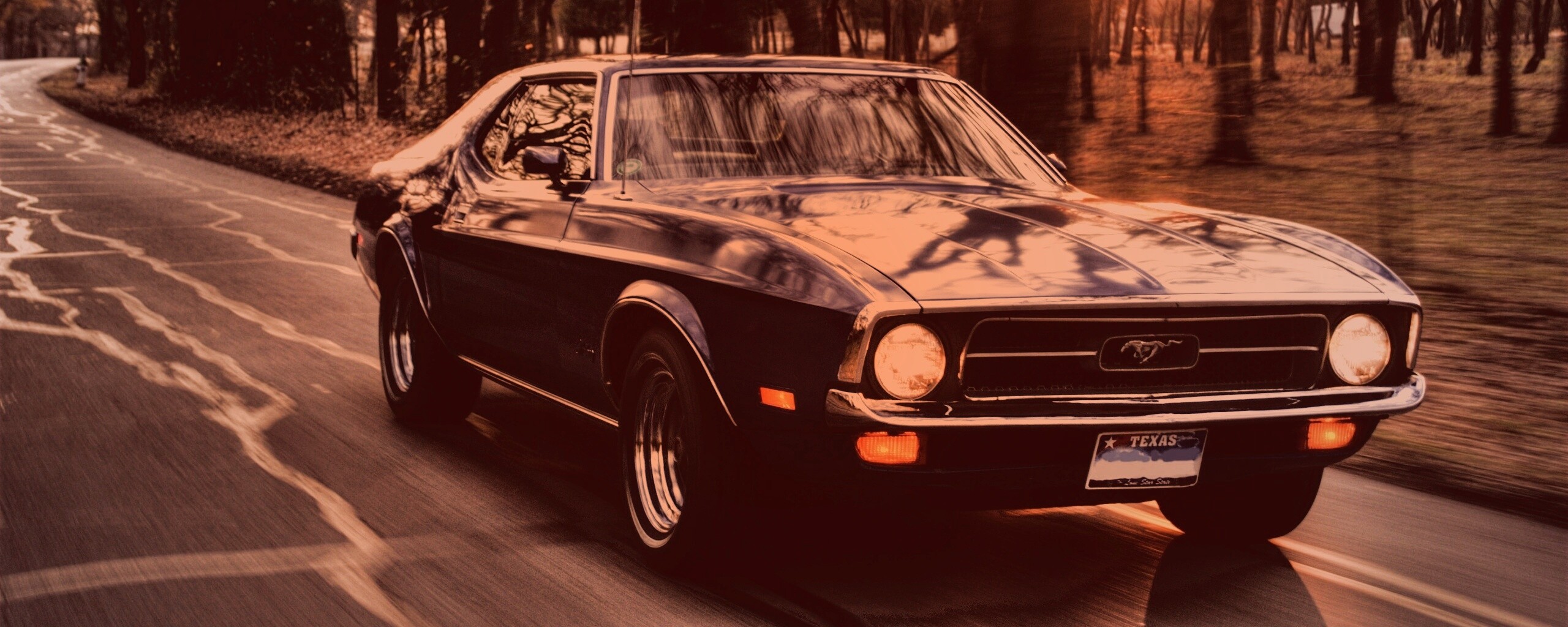 Мустанг обои