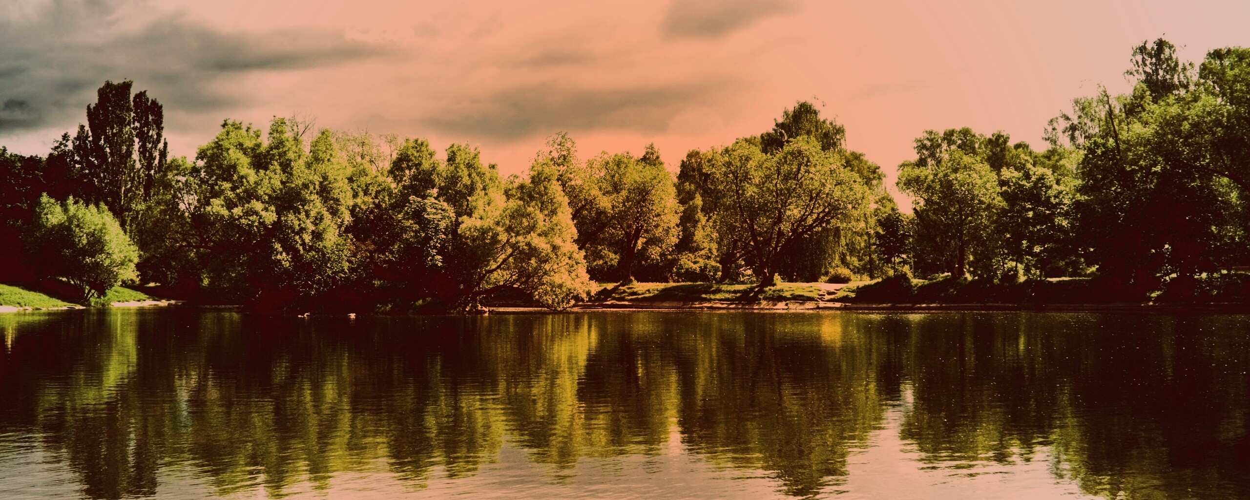 Деревья на берегу озера обои