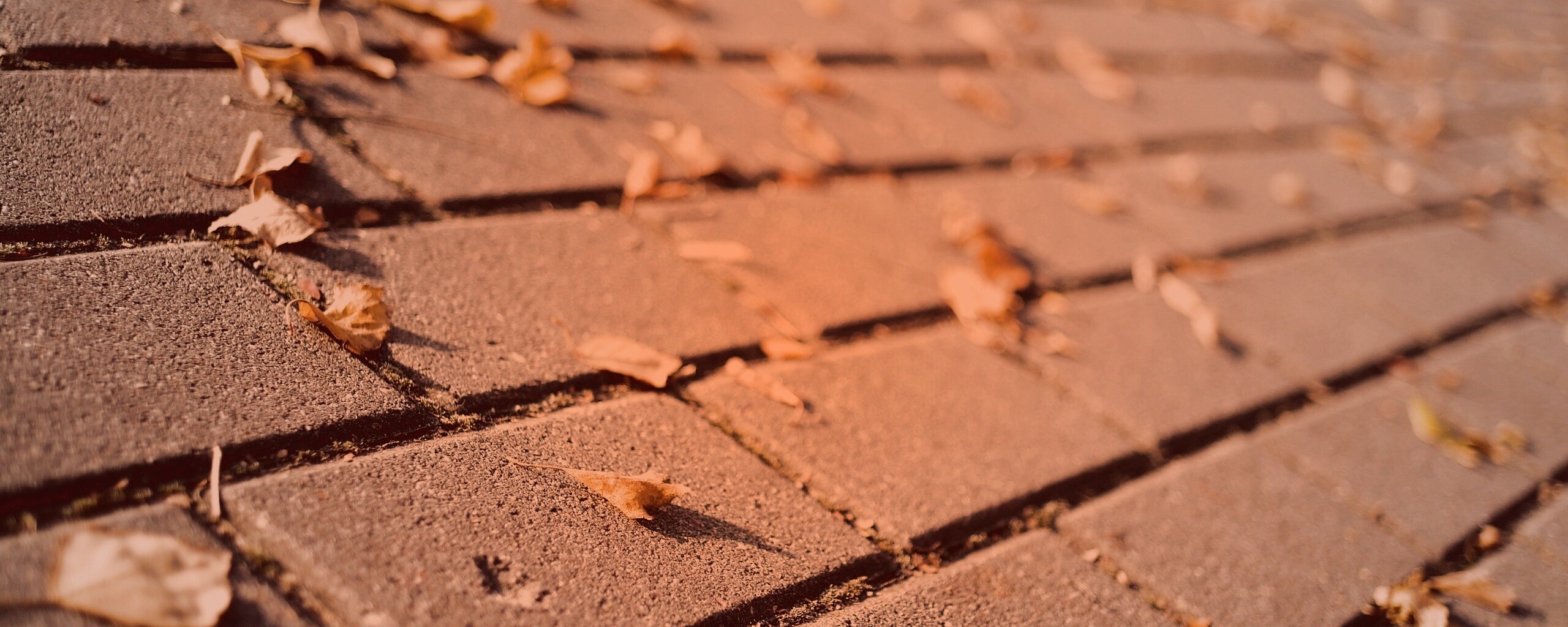 Тротуар обои