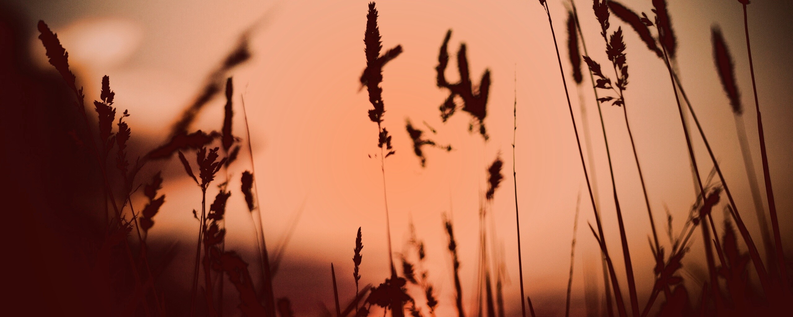 Дыхание природы обои