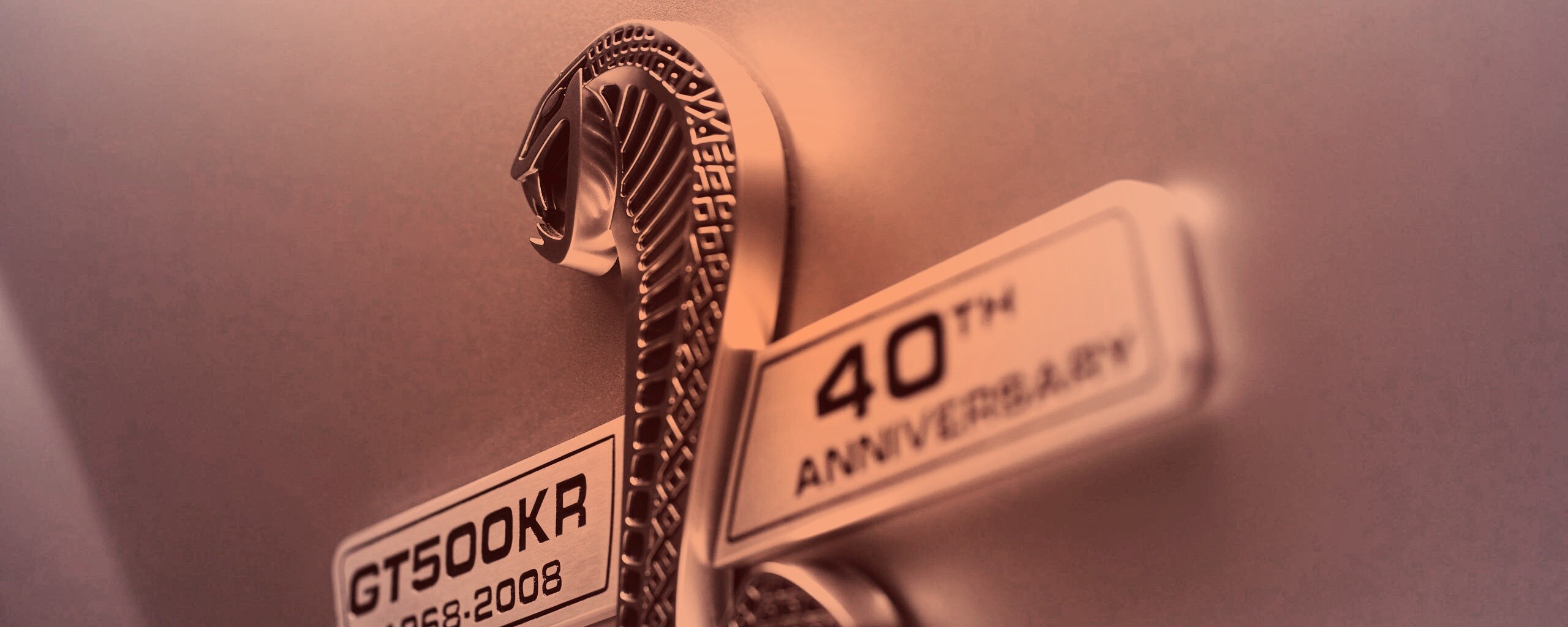 Шильдик Ford Mustang Shelby обои