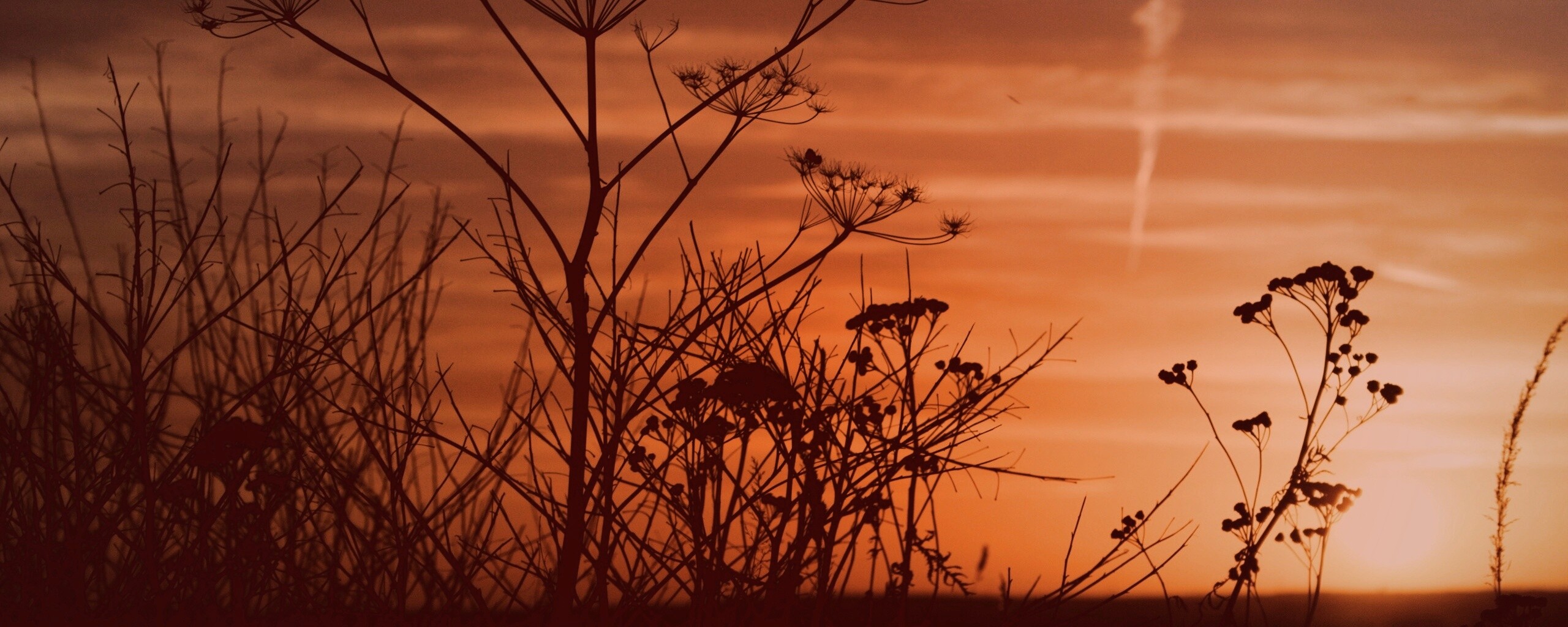 Степной закат обои