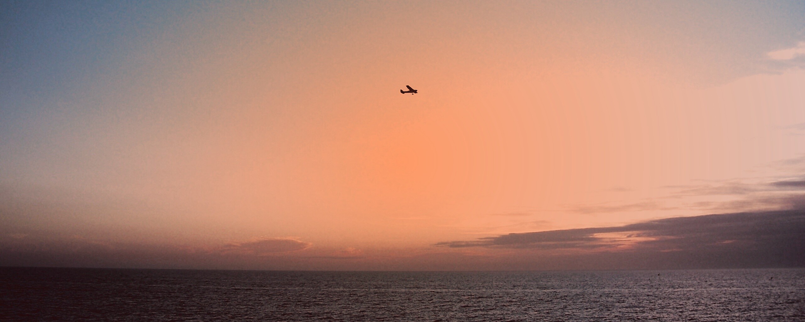 Паращий над морем обои