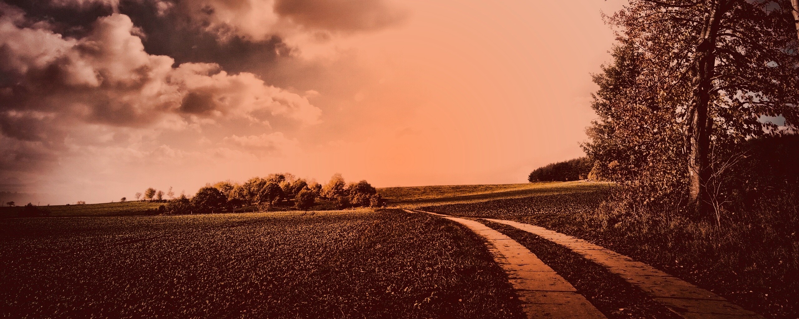 Солнечные холмы обои