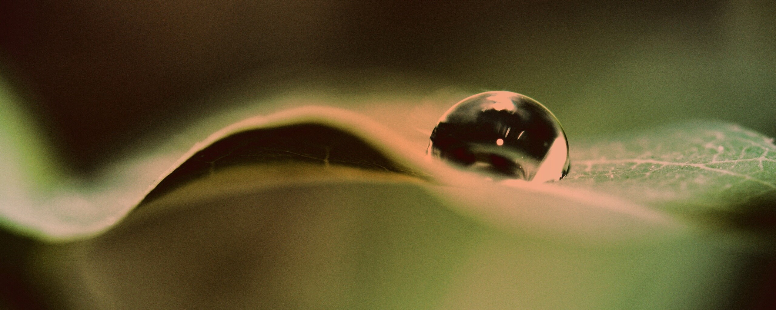 Фотография капли воды в макро обои