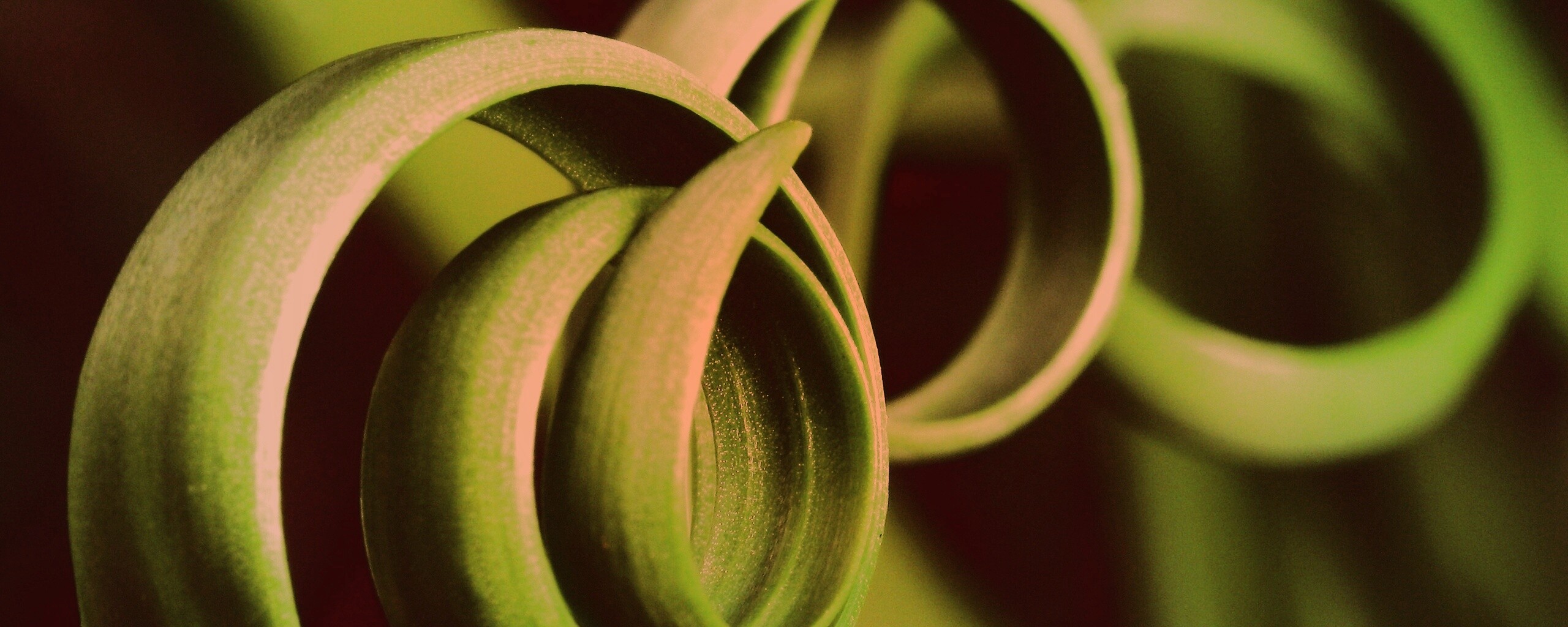 Зеленый обруч обои