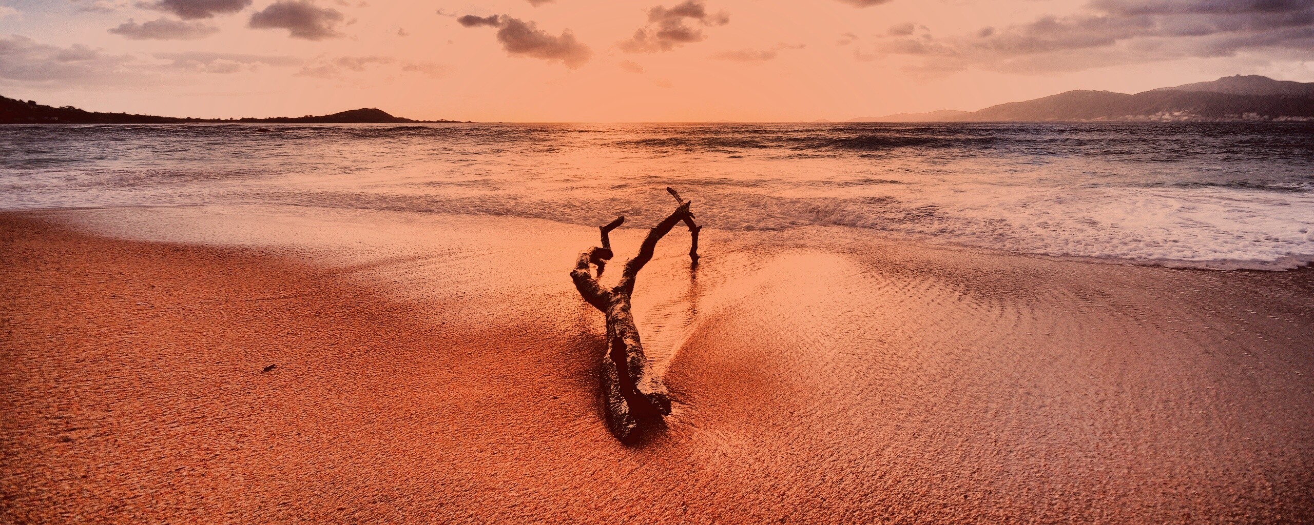 Коряга на пляже обои