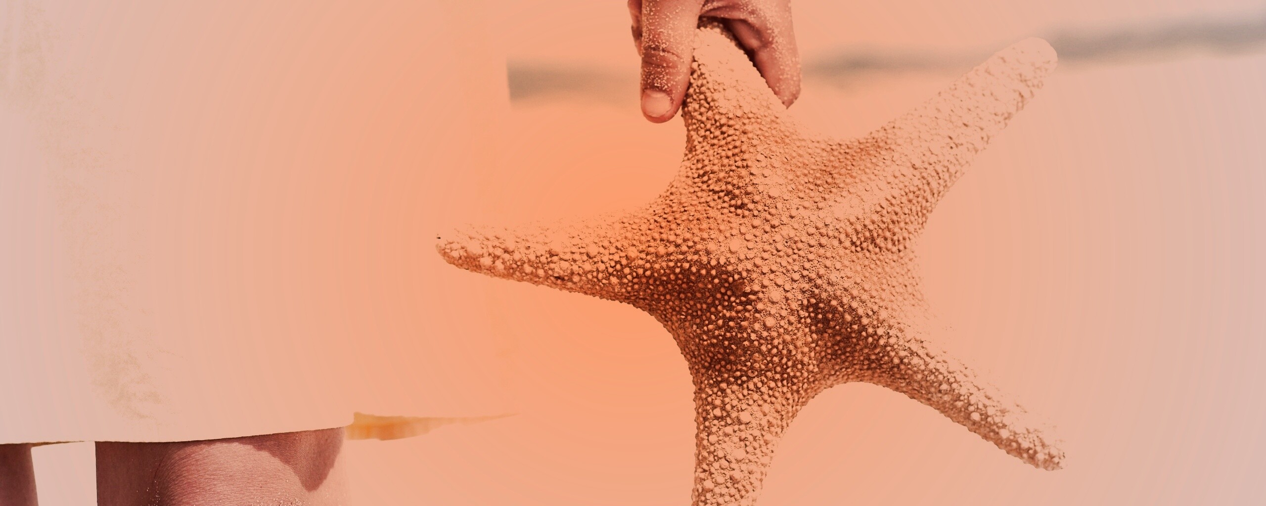 Морская звезда в руке обои