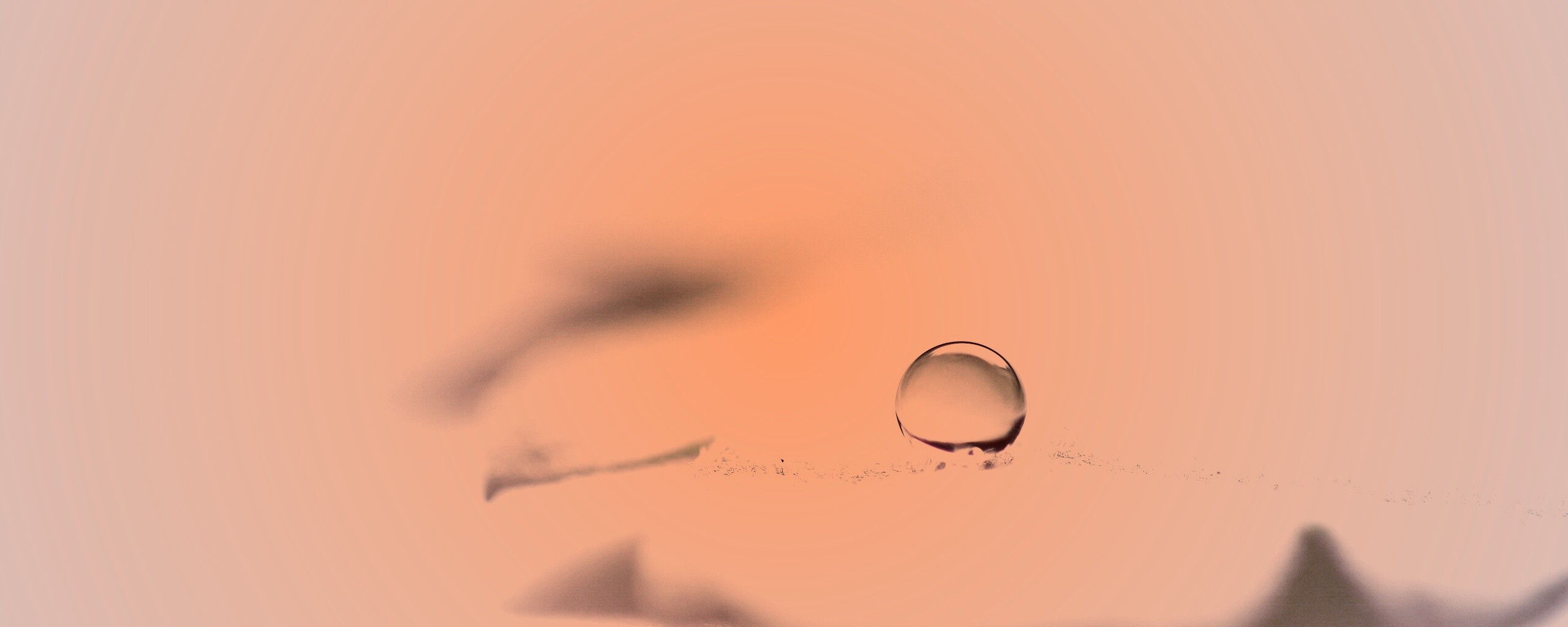 Капля на замёрзжем листе обои