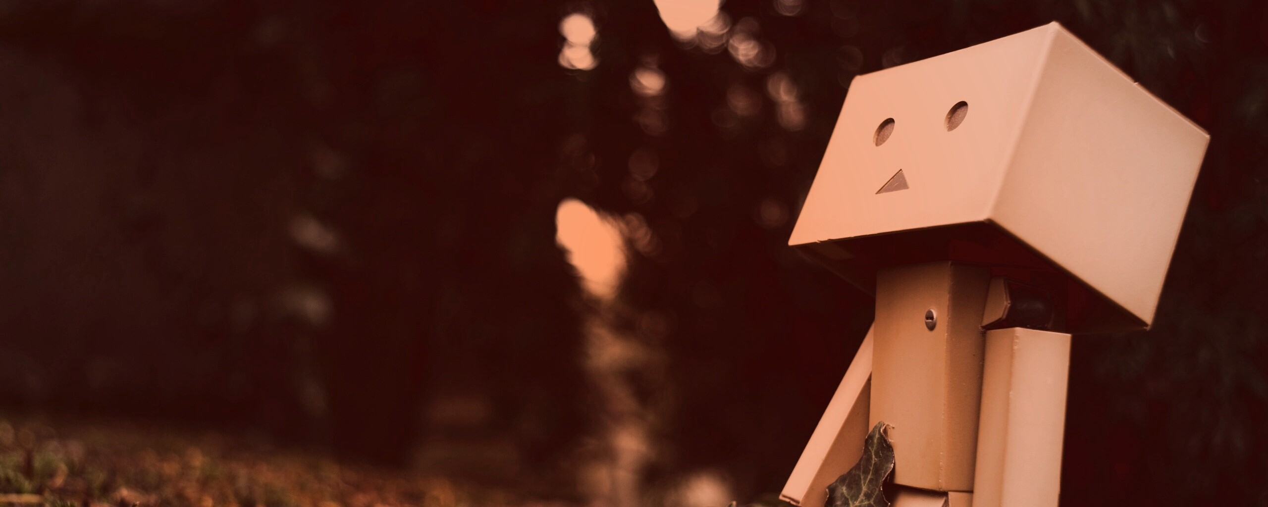 Danbo смотрит вверх обои