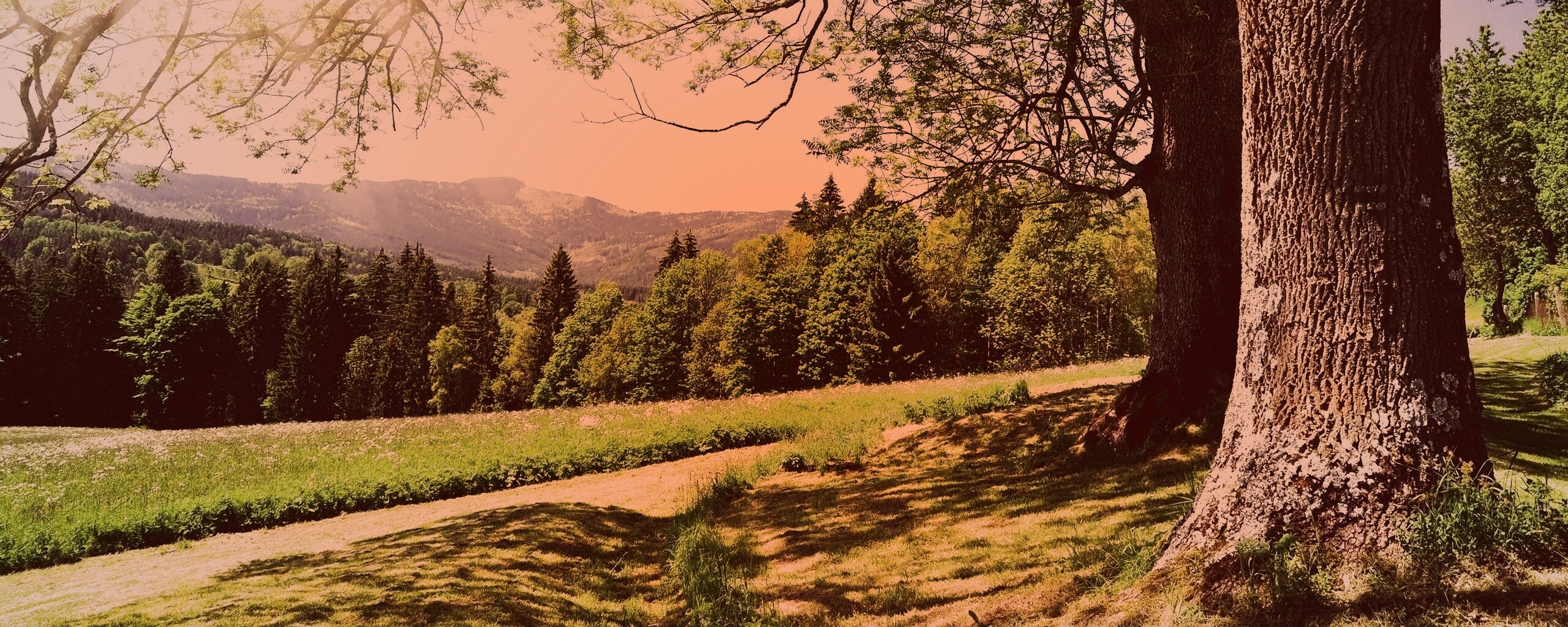 Лето в деревне обои