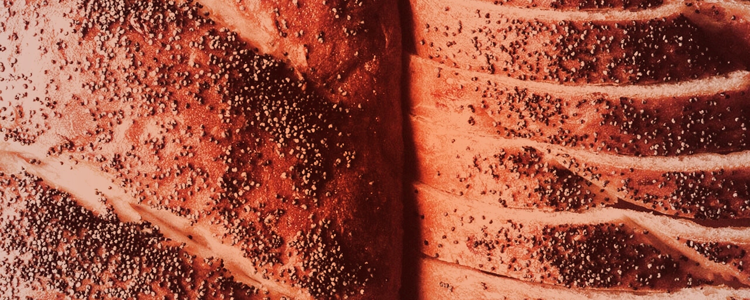 Выпечка с маковой крошкой обои