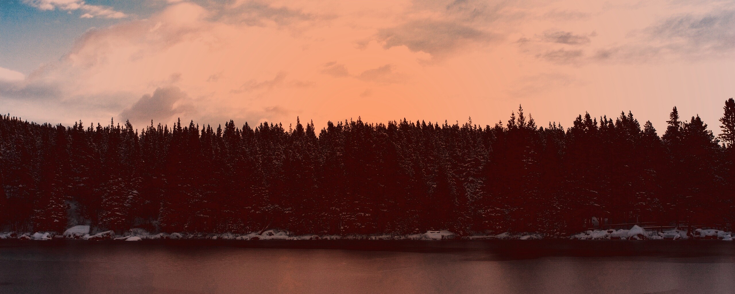 Лес на озере обои