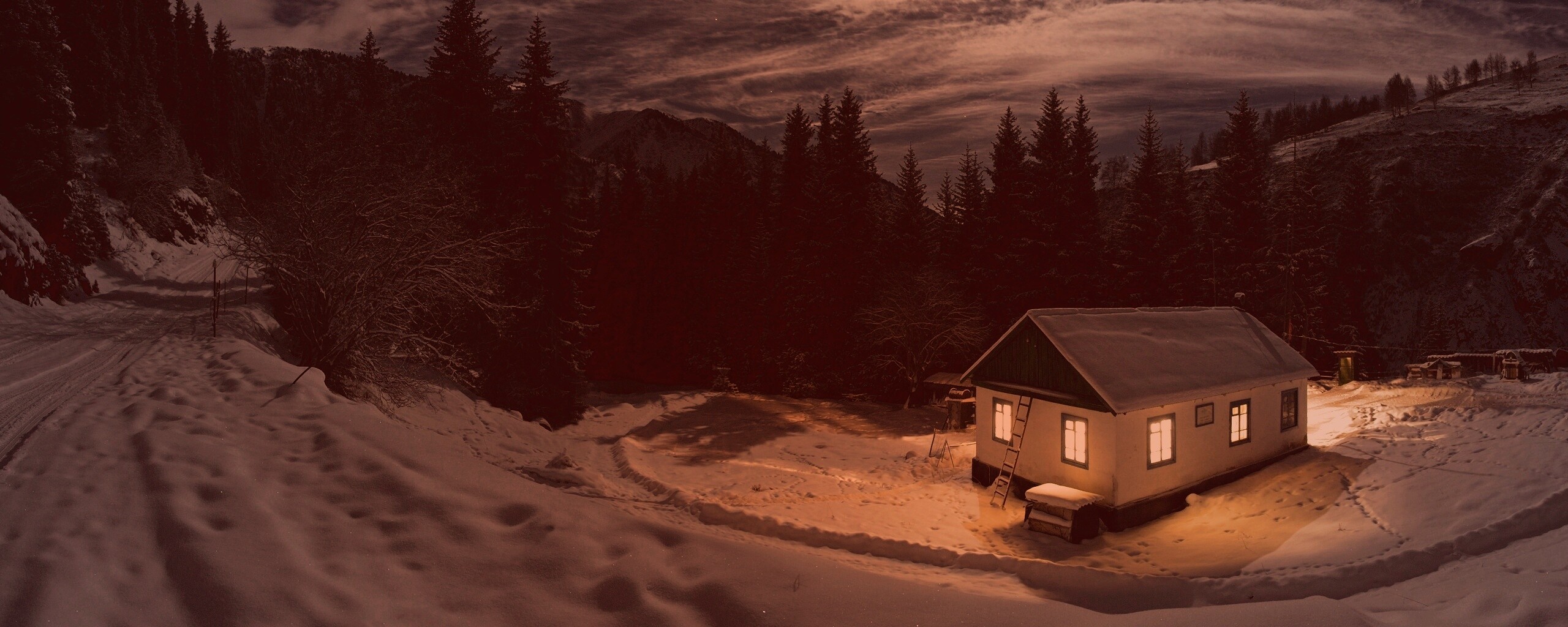 Один в зимнем лесу обои