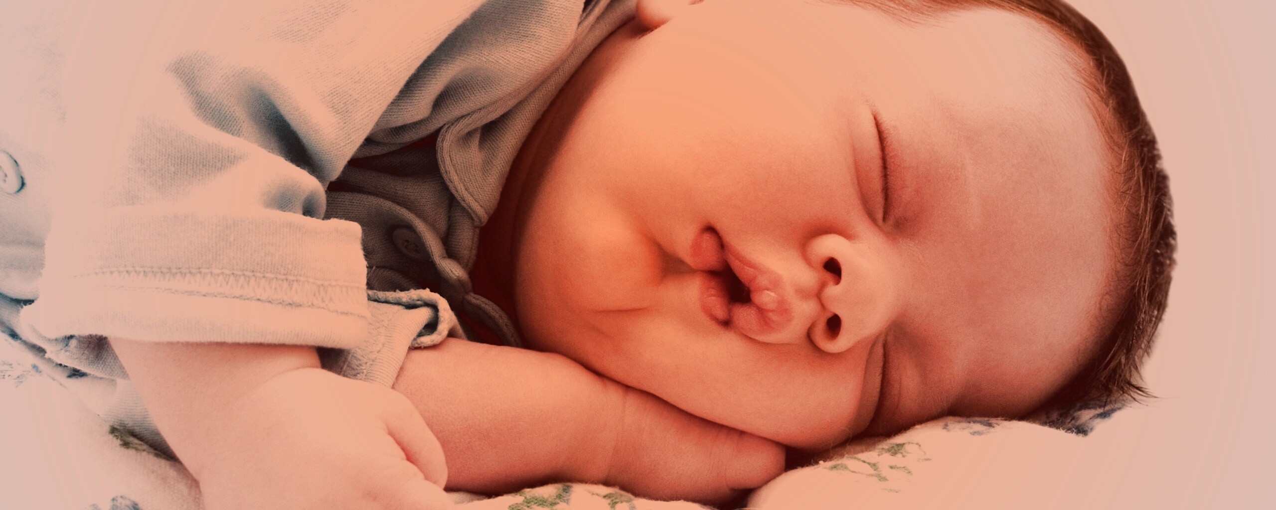 Спящая прелесть обои