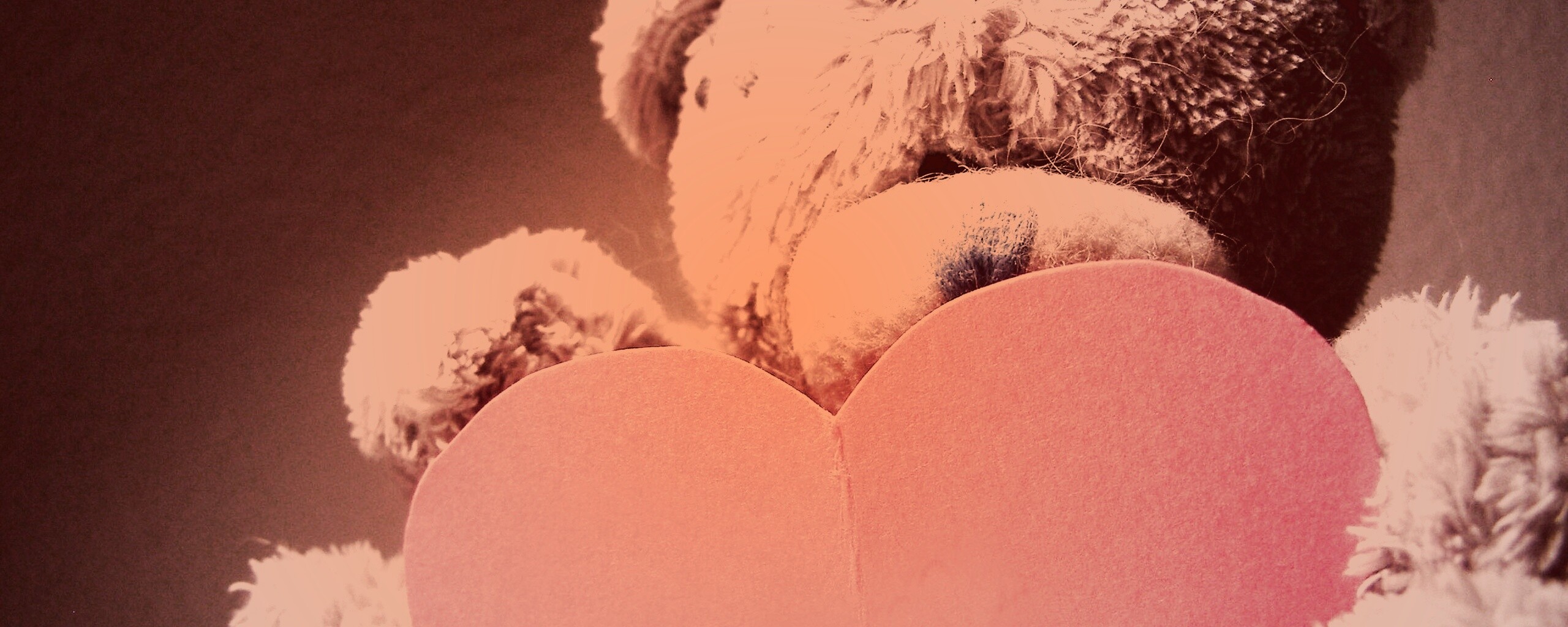 Мишка с сердцечком обои