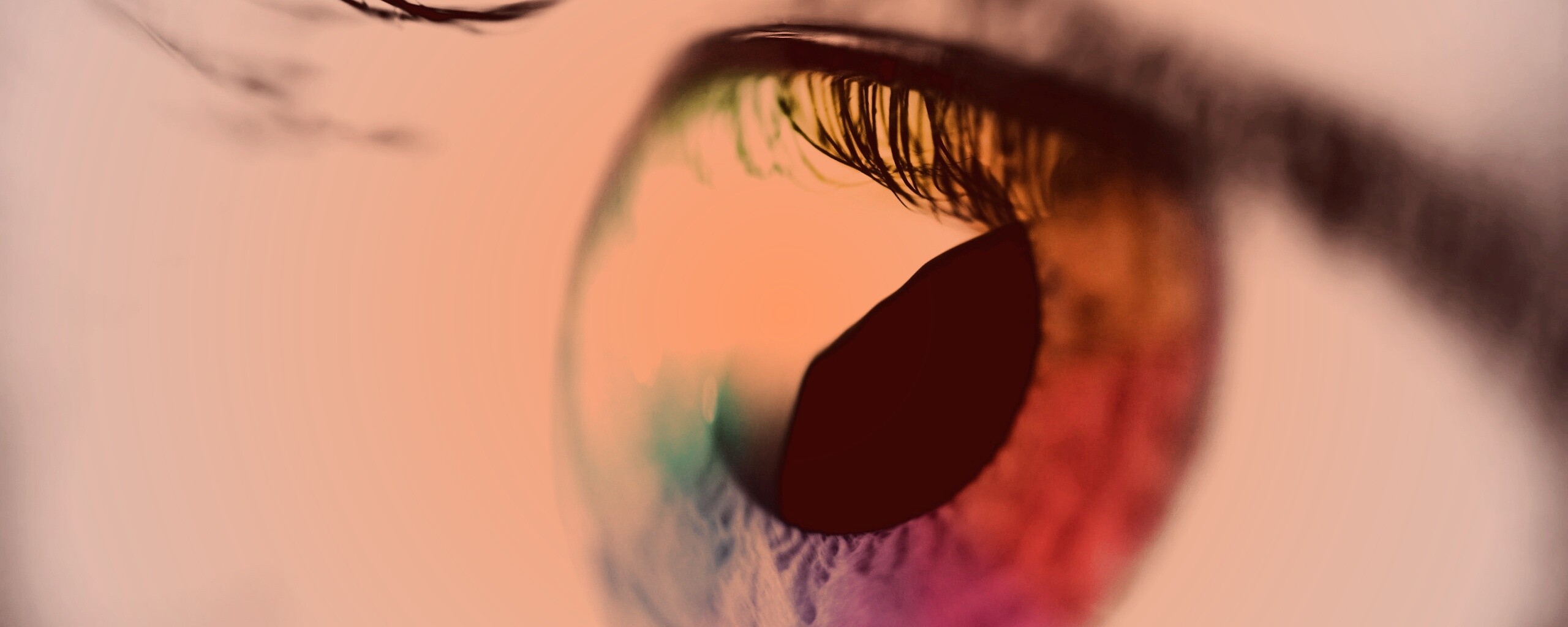 Радужная радужка обои