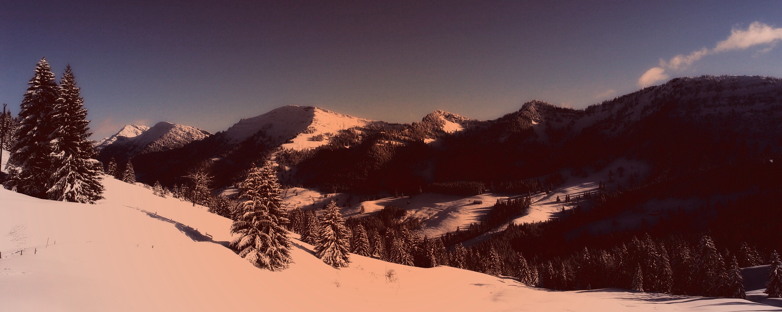 Лес в горах обои