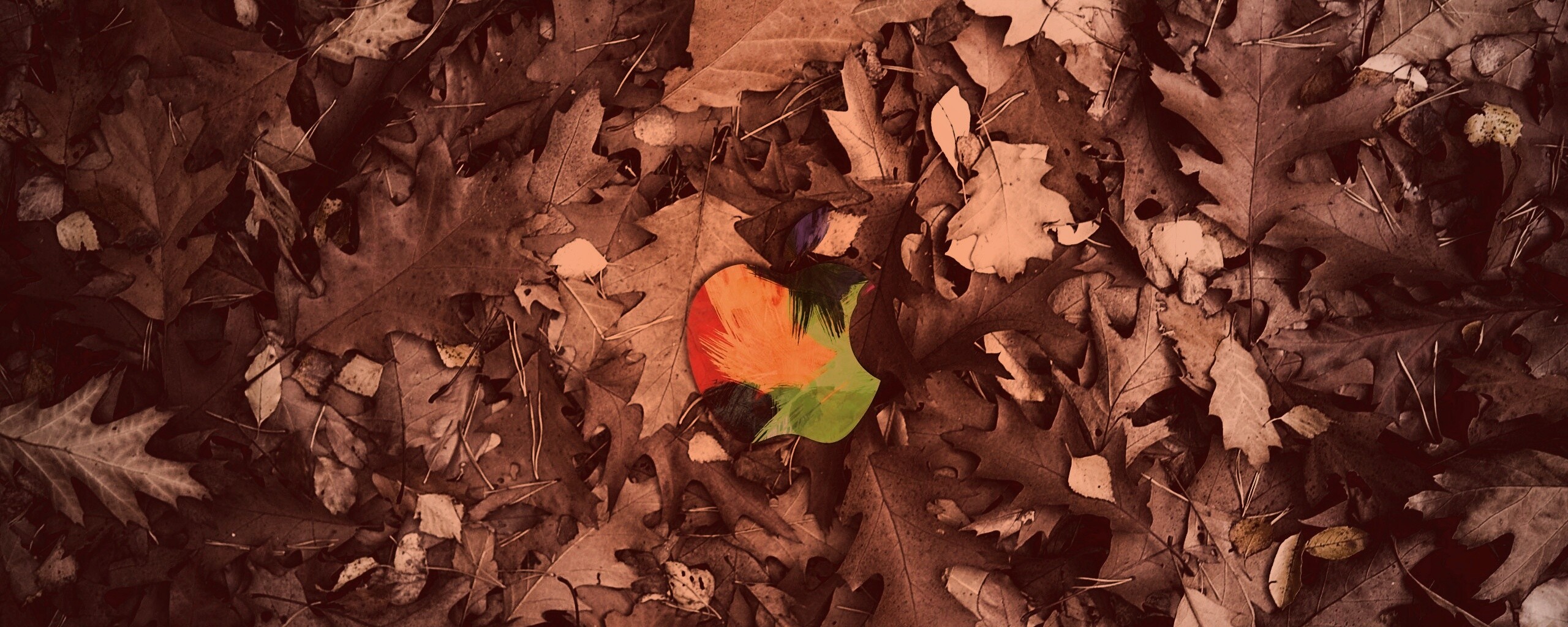 Яблоко в листьях обои