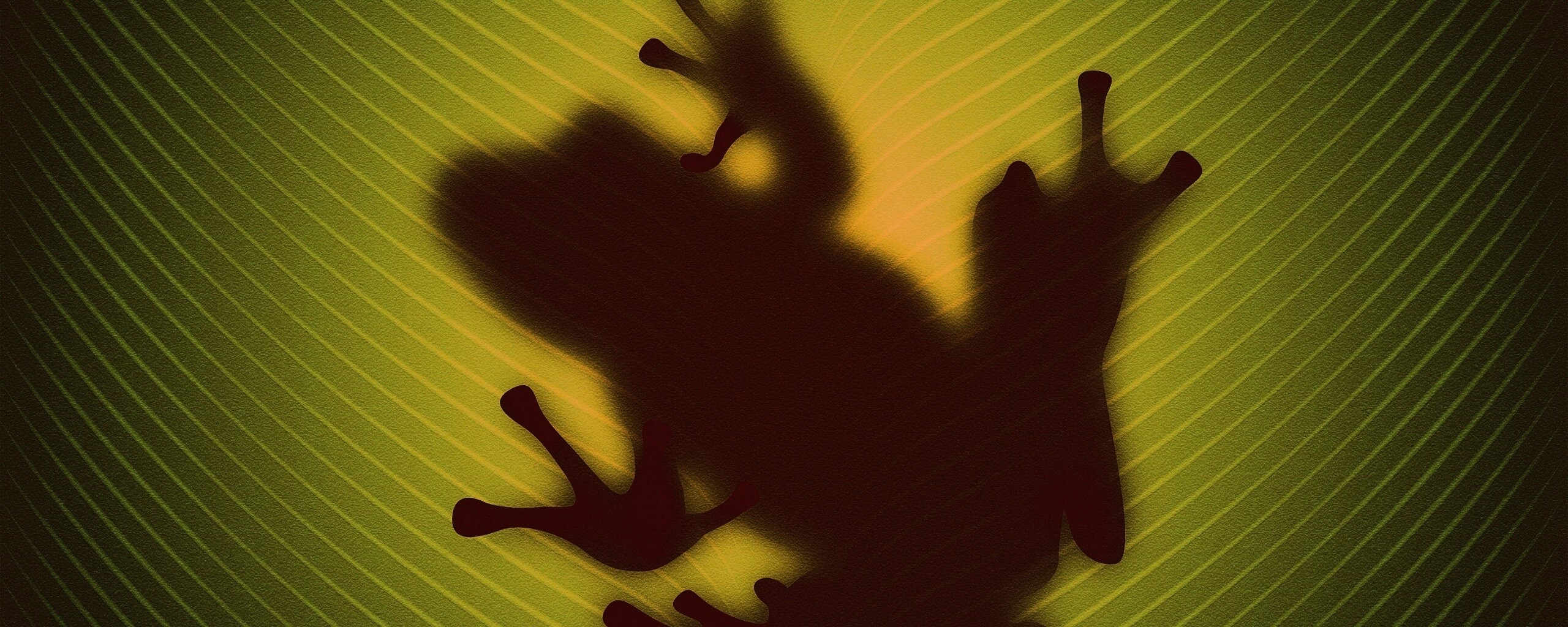 Силуэт лягушки просвечивает сквозь зеленый лист обои