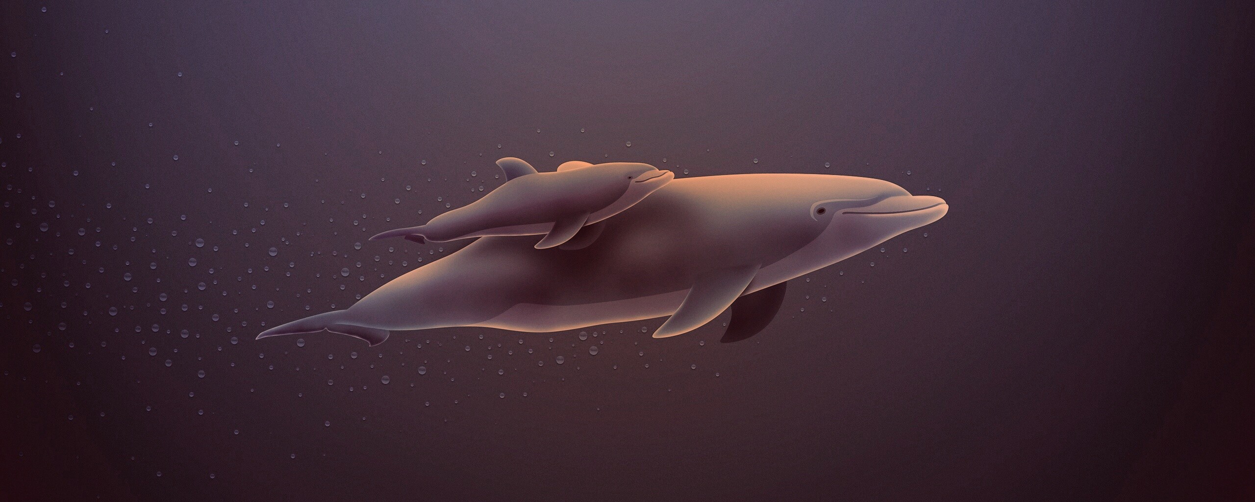 Дельфин и дельфиненок обои